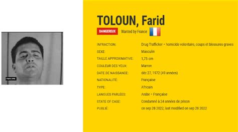 farid toloun